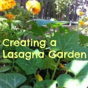 Lasagna Garden e-book cover.jpg