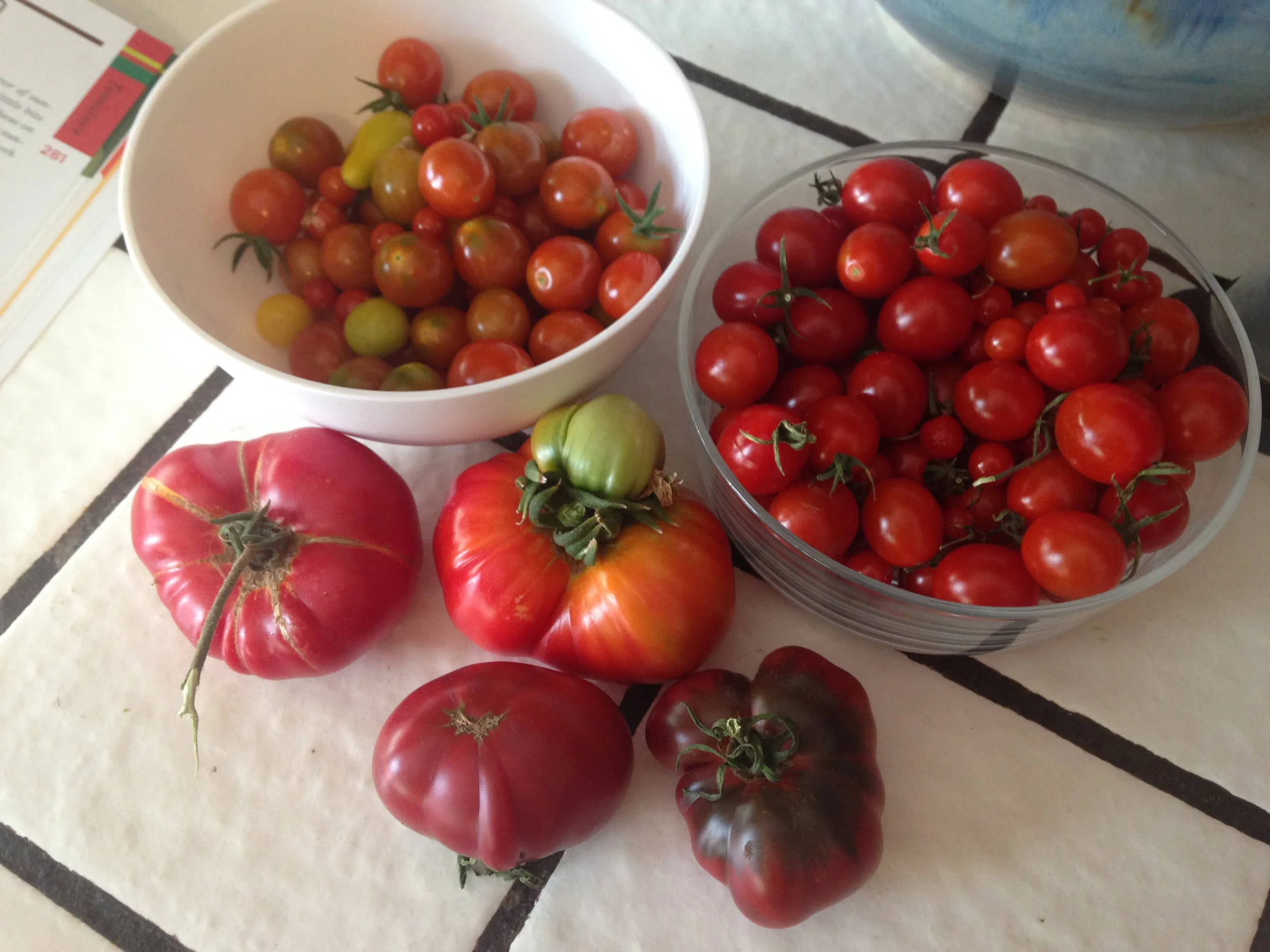 Here's what I started with. A load of tomatoes to be processed.