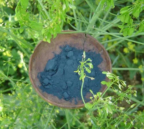 Woad (plant and powdered dyestuff).