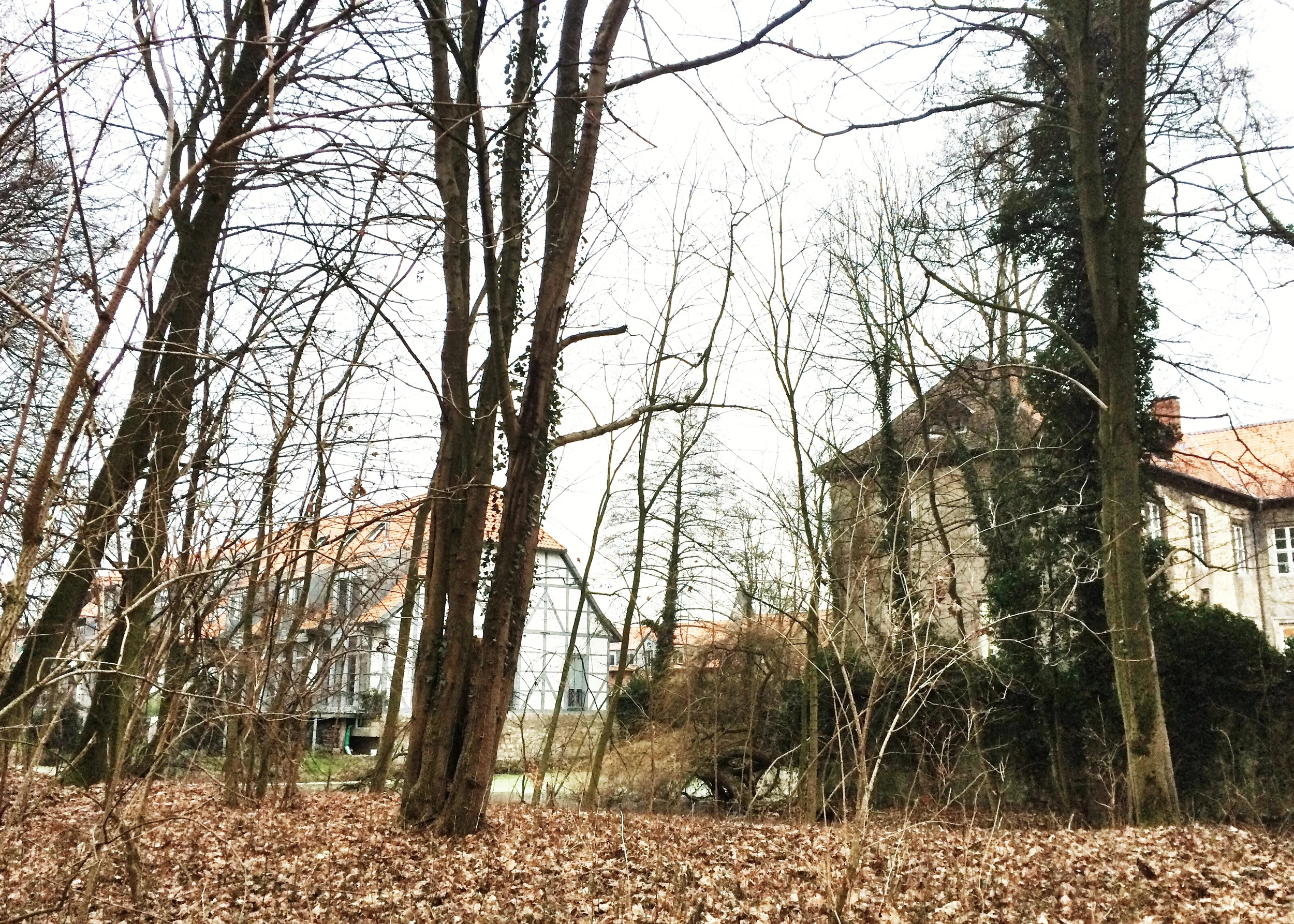 Blick auf das Schloss und die ausgebaute Gutsscheune