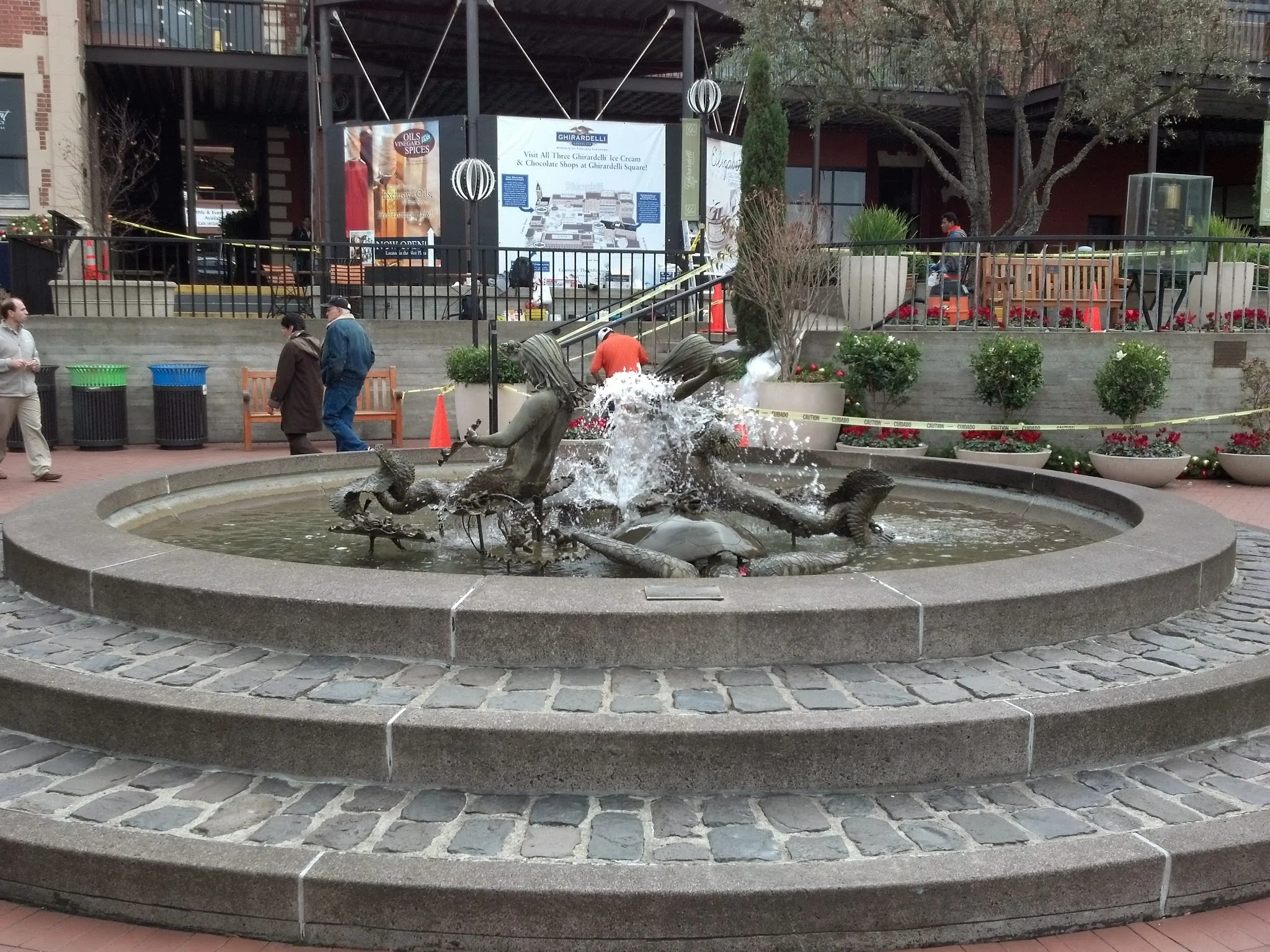 IMG_20131218_135533_567.jpg