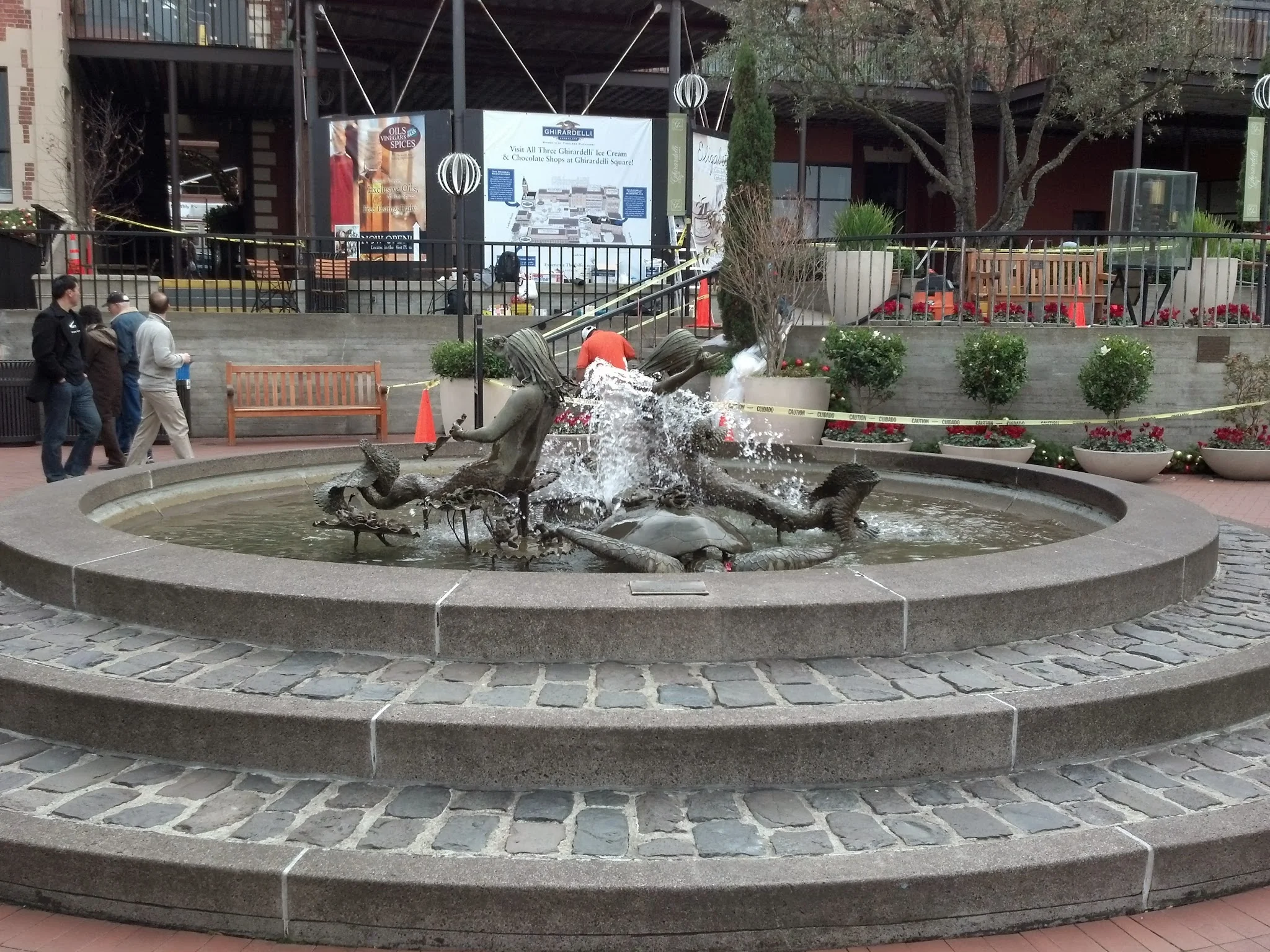 IMG_20131218_135535_611.jpg