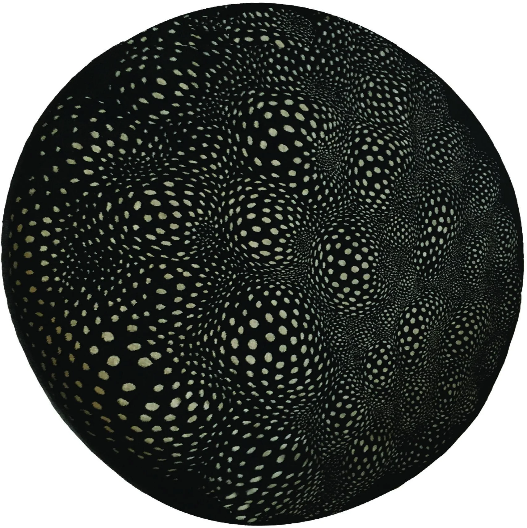 mars-1 rug .jpg