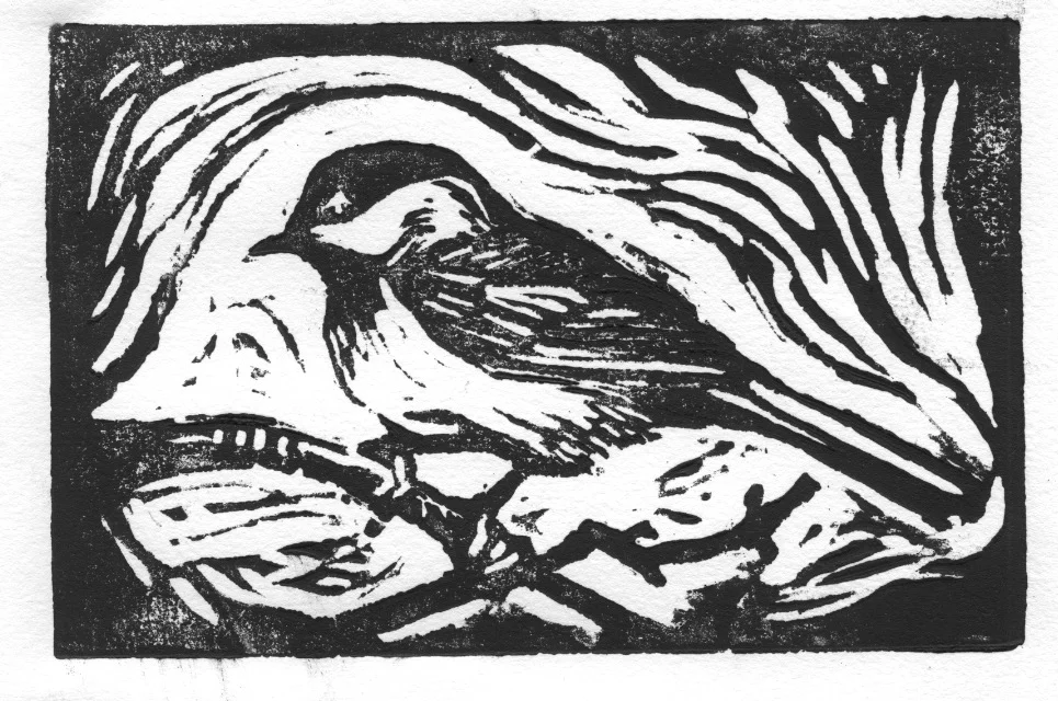 chickadee.jpeg