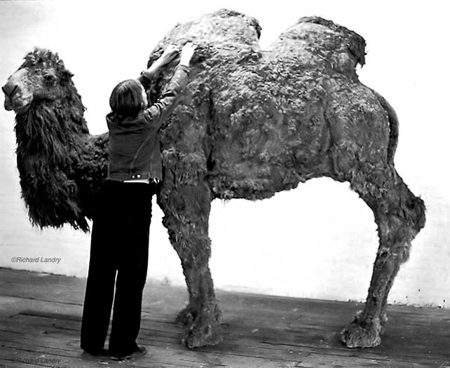Nancy Graves "Camel" (1969)