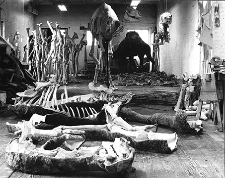 Nancy Graves Studio (1969) Mulberry St. NYC.