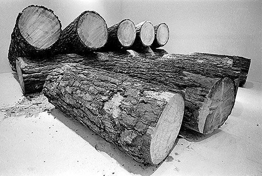 Richard Serra