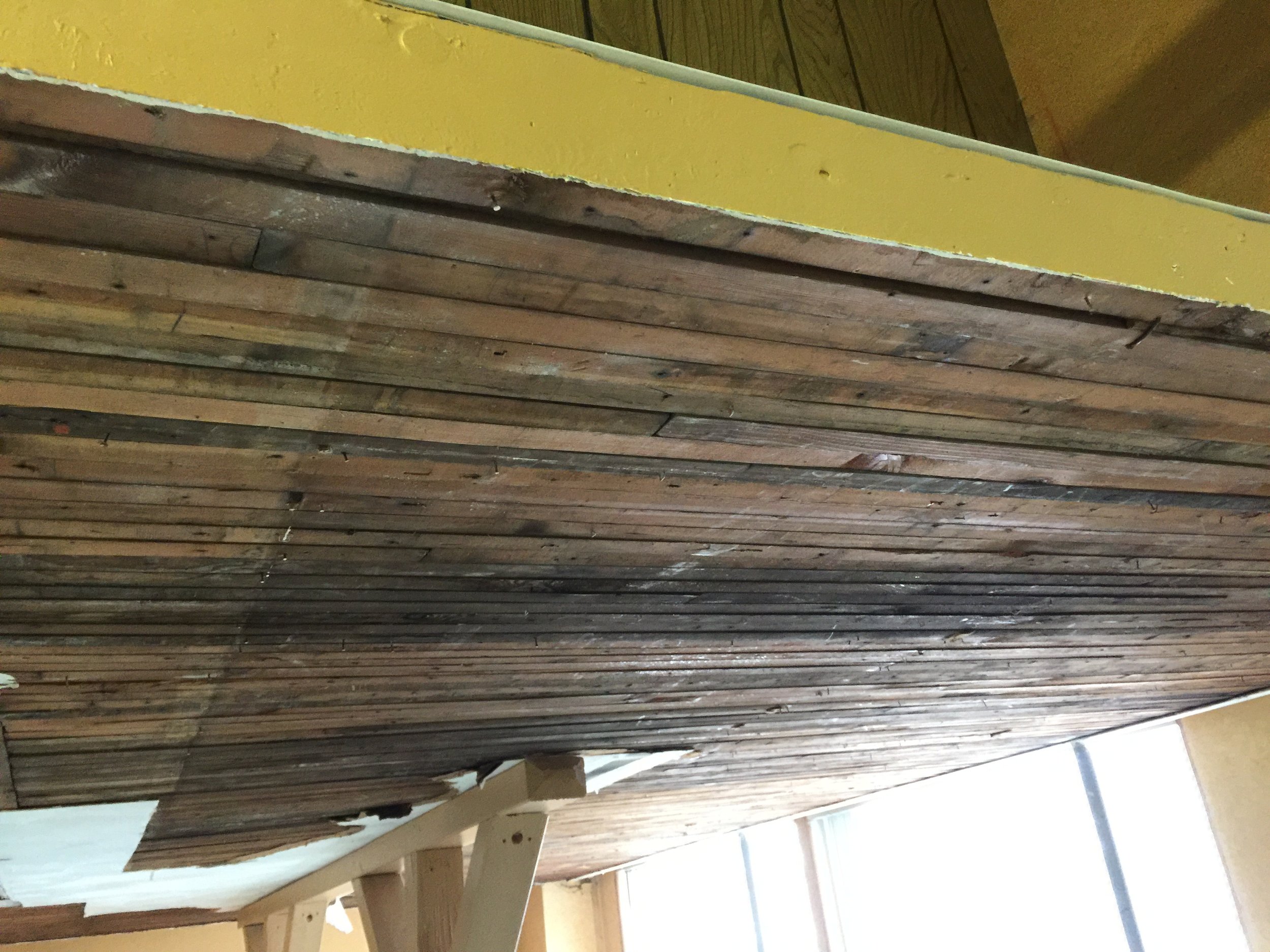 Look at those boards!
