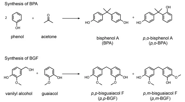 bpa_reaction_630m 2.jpg