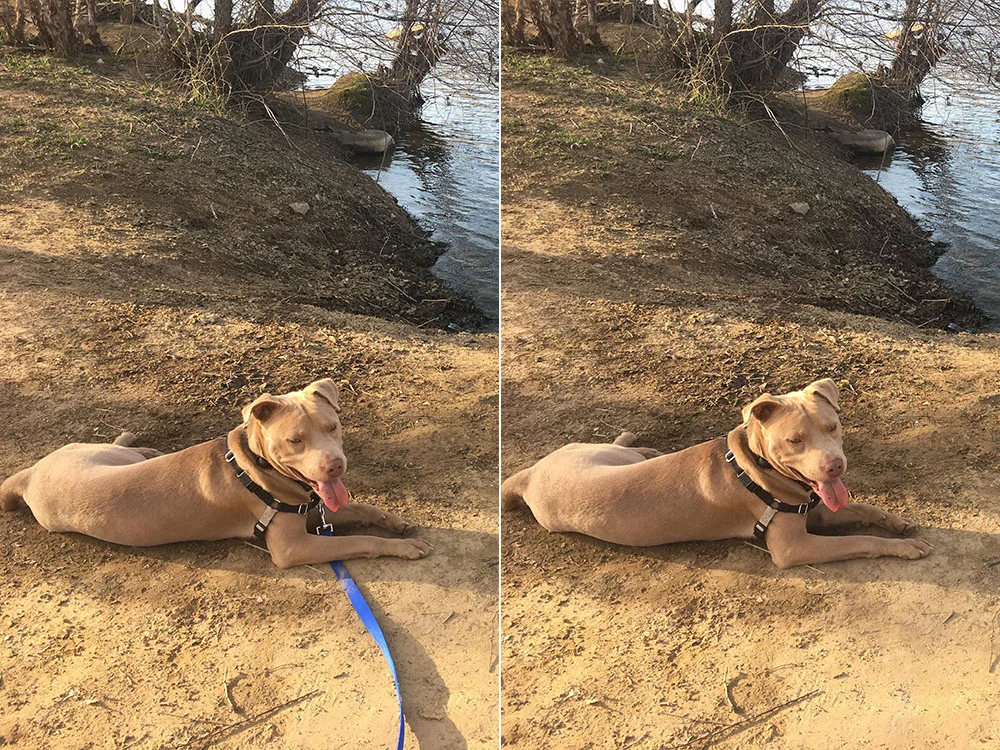 Before After 2.jpg