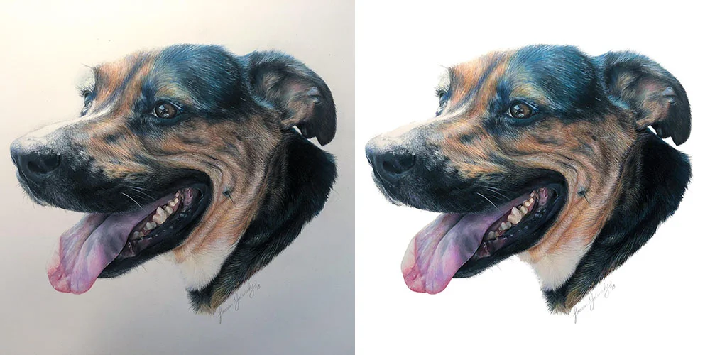 drawing.jpg