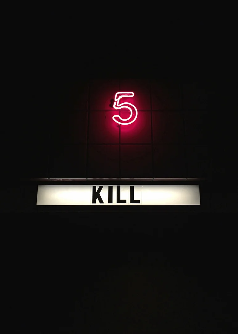 62.jpg
