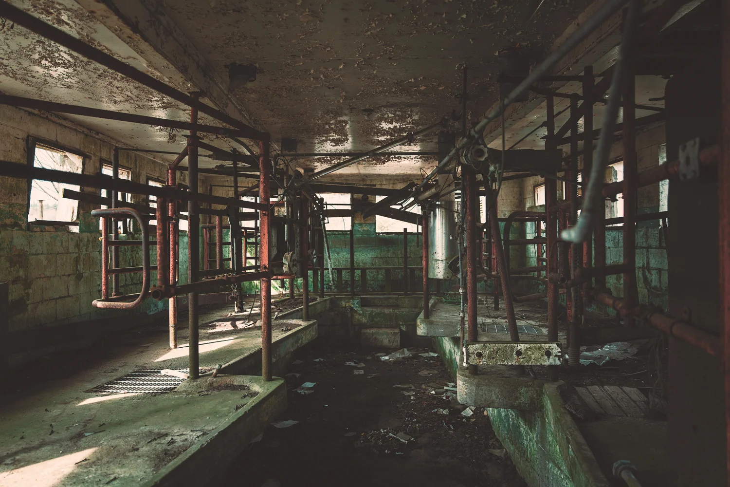 119A9892-Edit.jpg