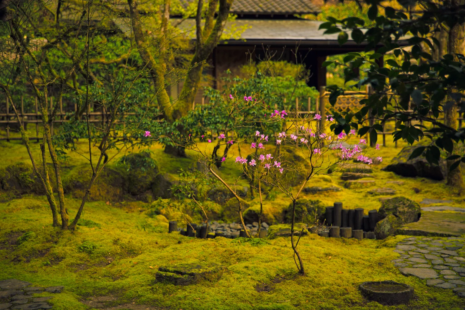 119A0007-Edit.jpg