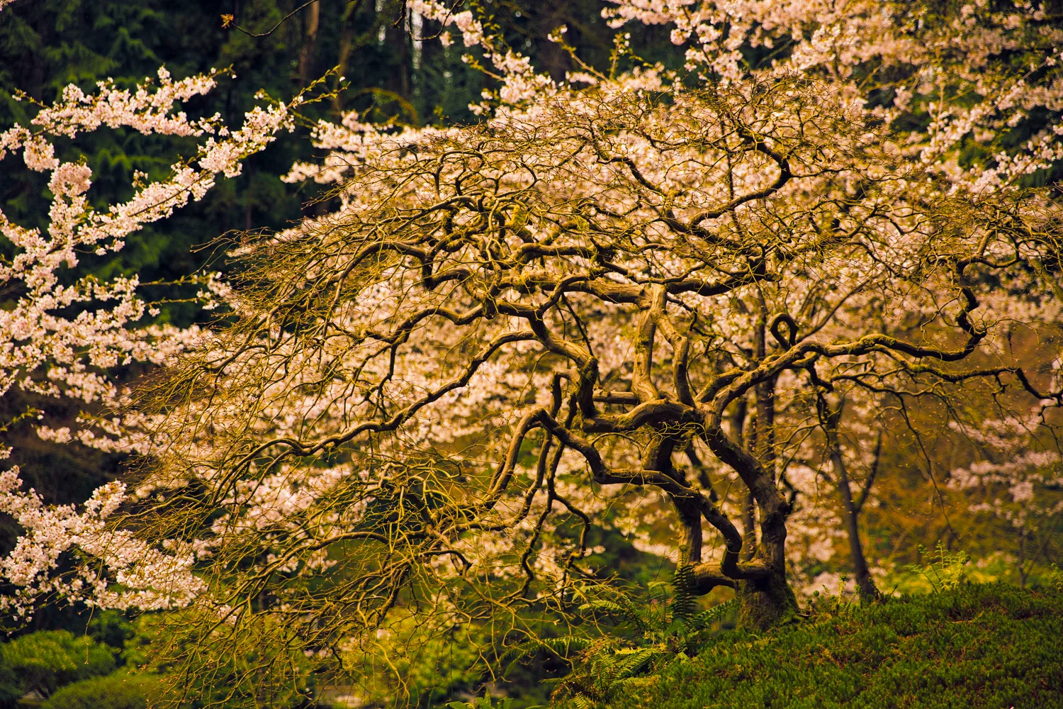 119A0033-Edit.jpg
