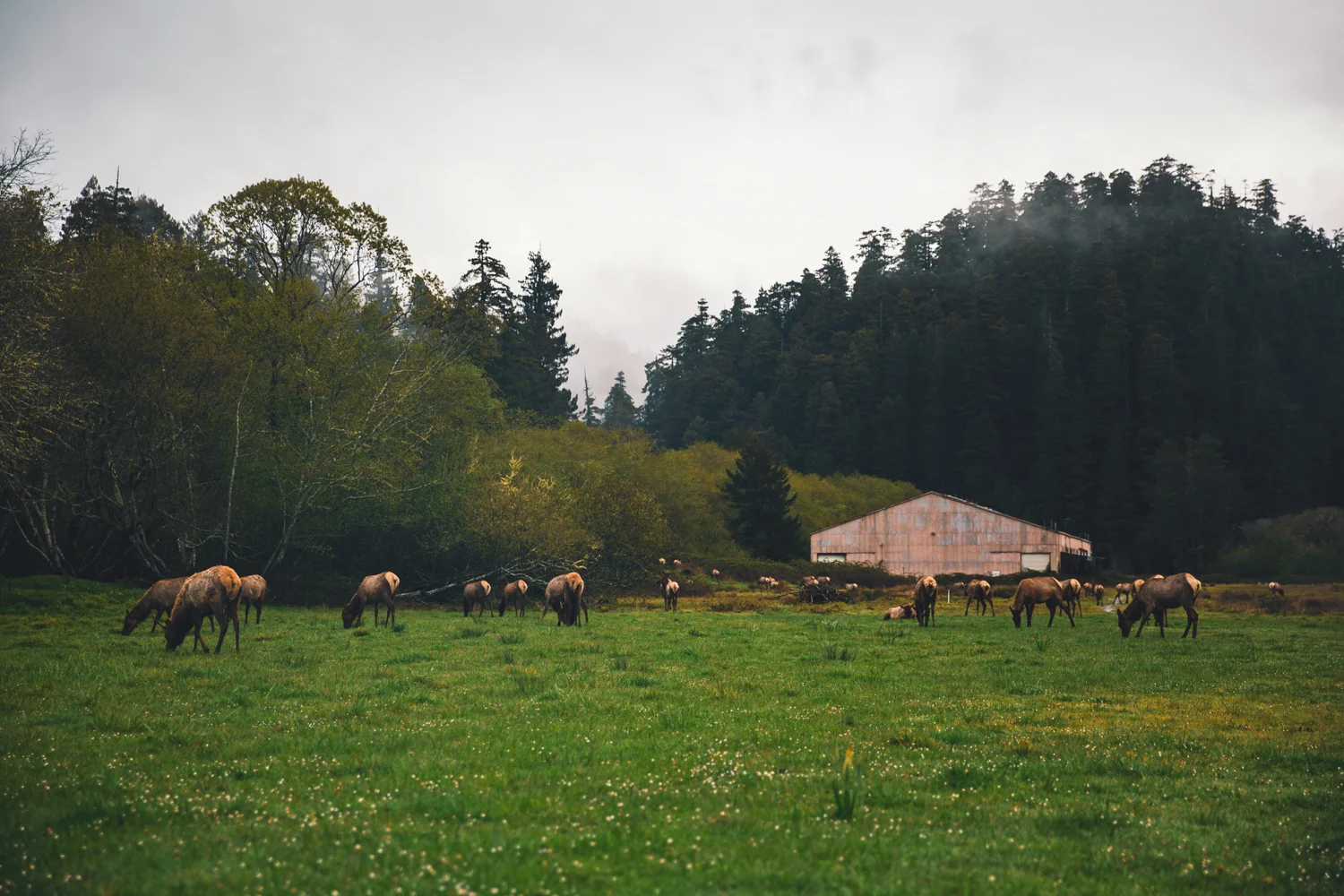 119A1632-Edit.jpg