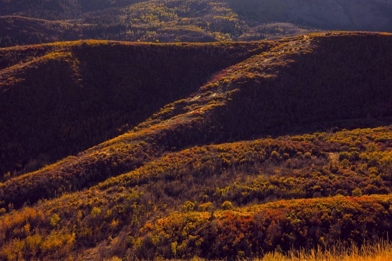 MP_01523-Edit-Edit-2.jpg