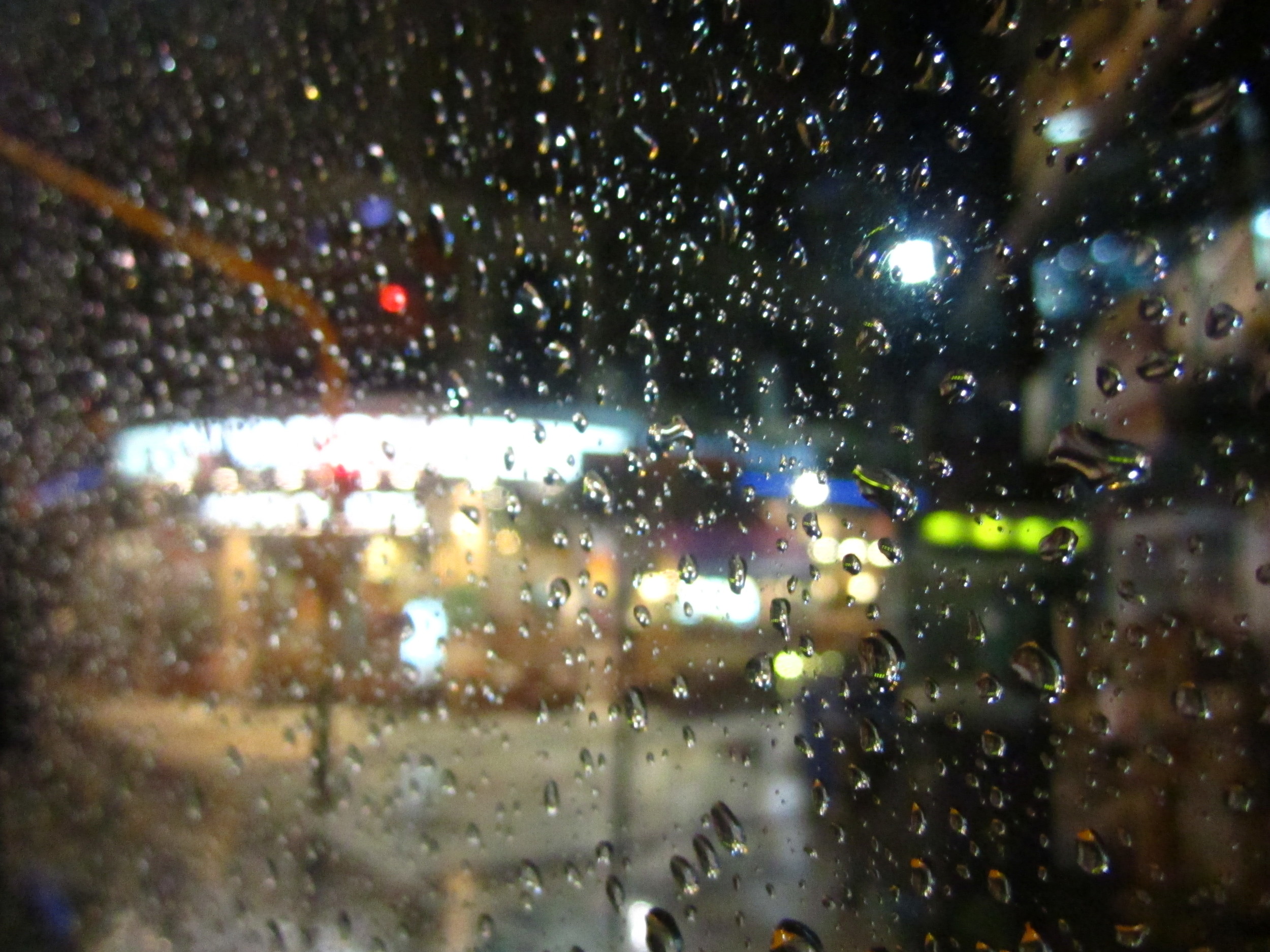 The Fellowship in Photos.JPG