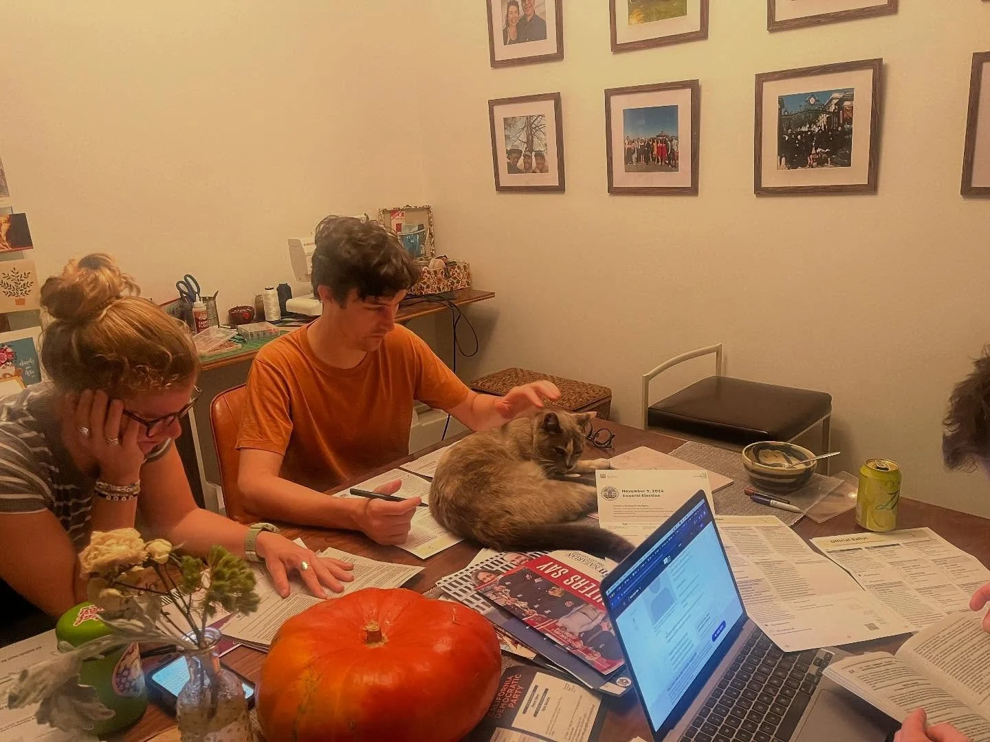 making sense of ballots with emotional support cat who believes ballots are for catspreading | october 10 2024