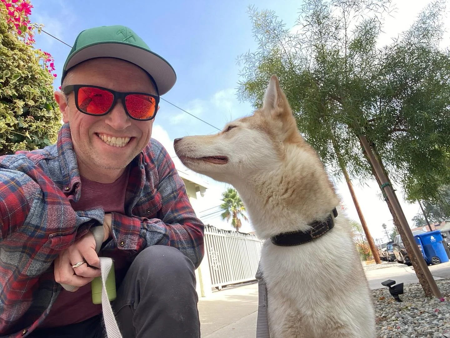 back home and getting a dog | october 18 2024