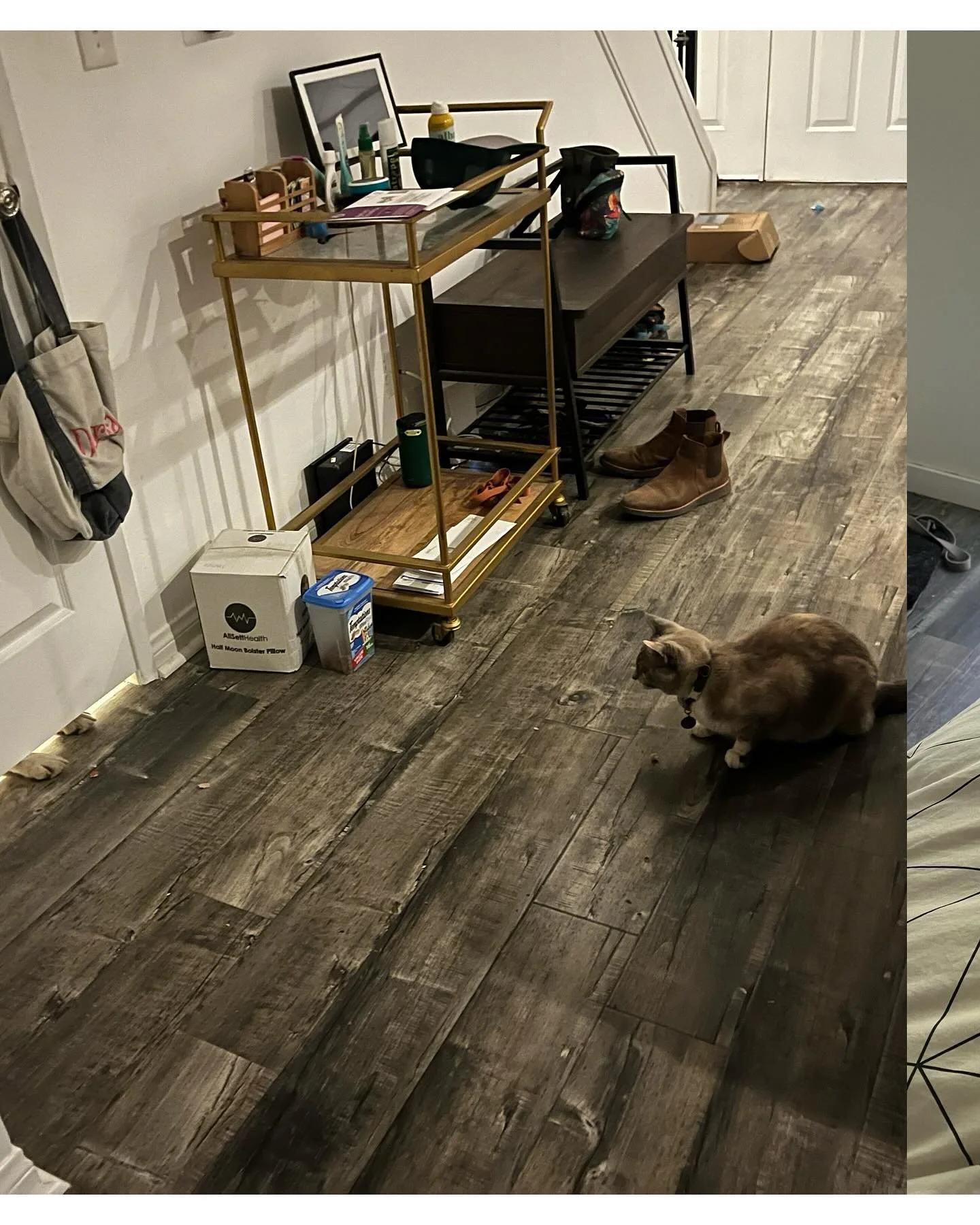 that time we had two pets | october 20 2024