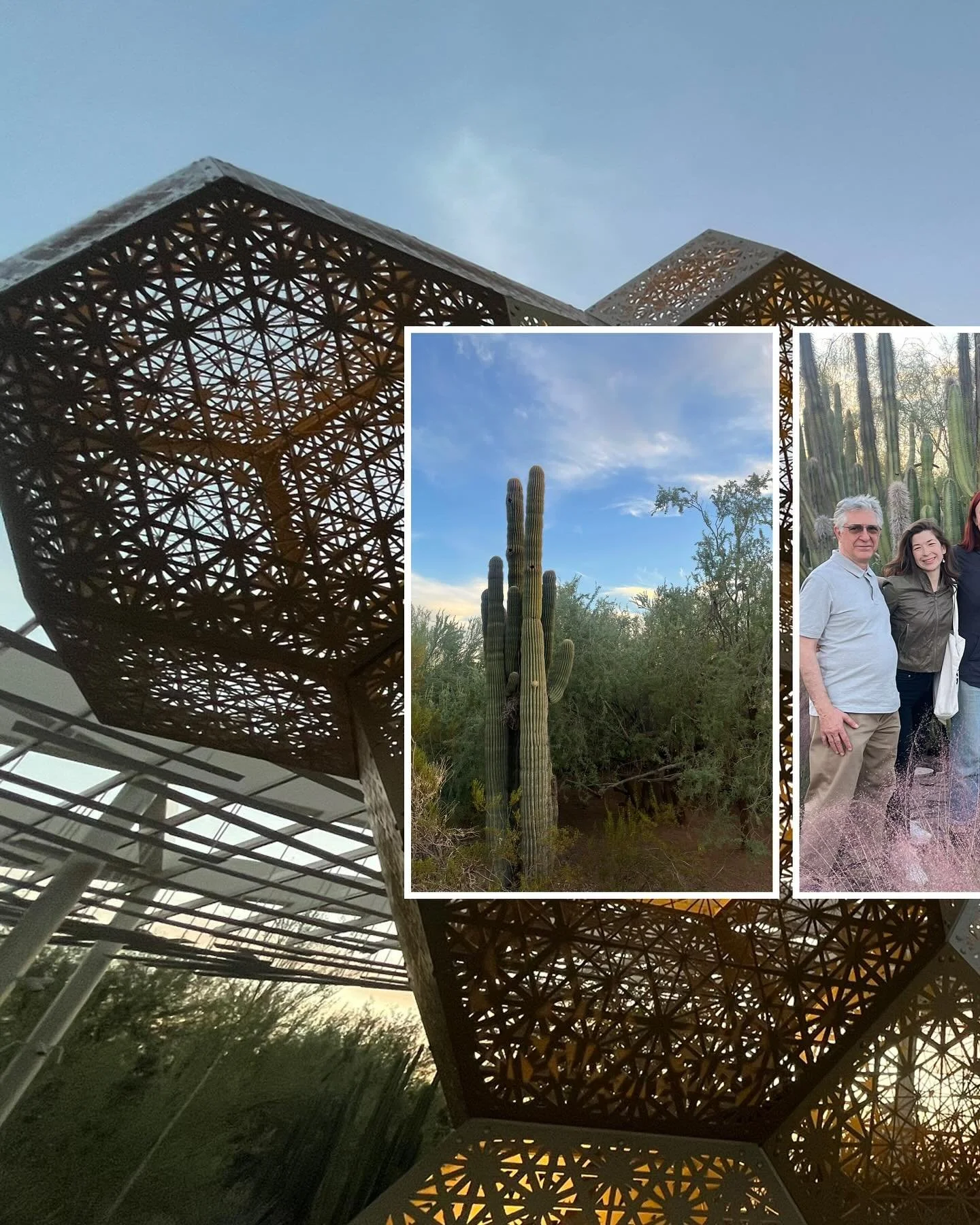 brief break in canvassing for plant joy | oct 29 2024