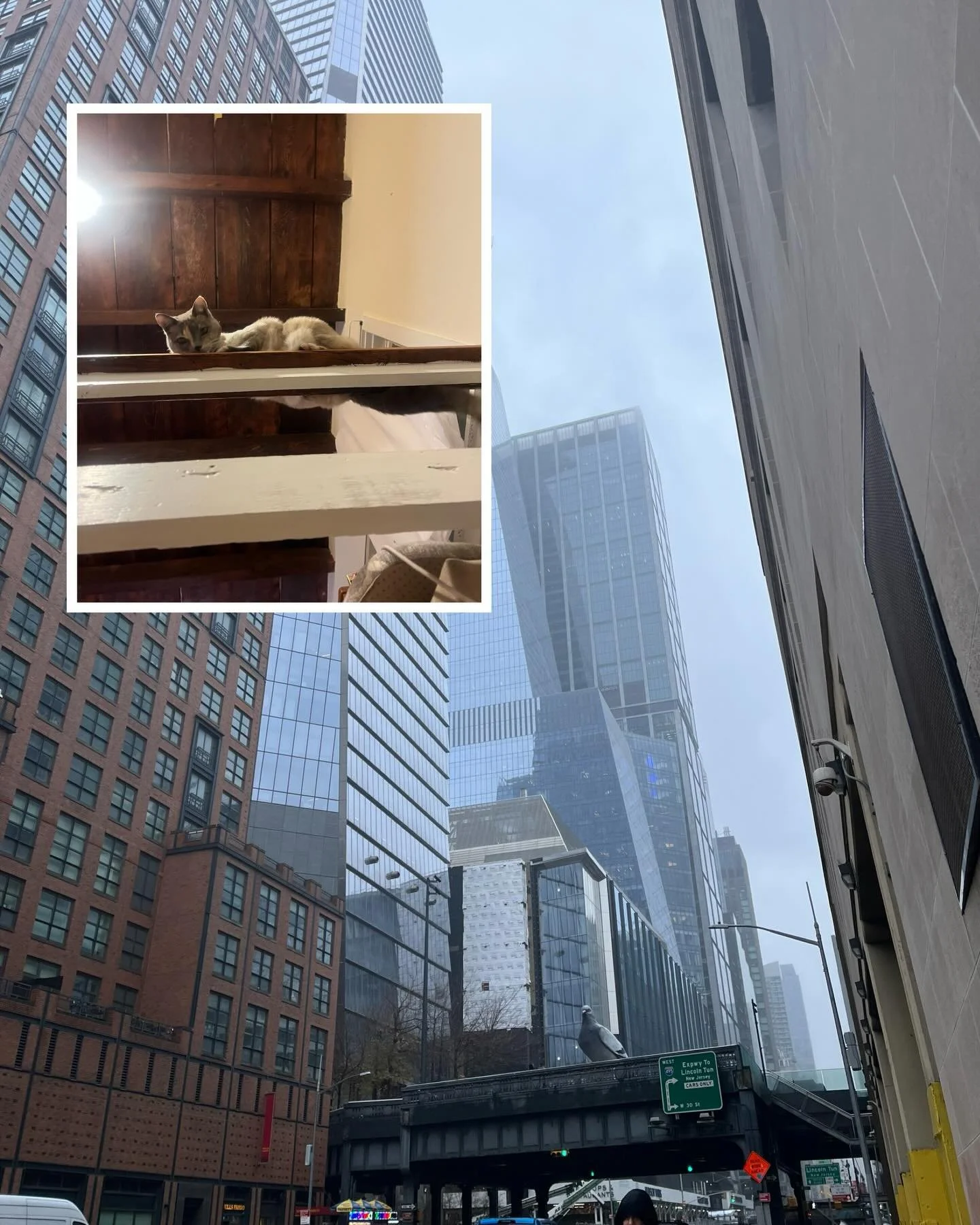 city and mom visit days | dec 16 2024