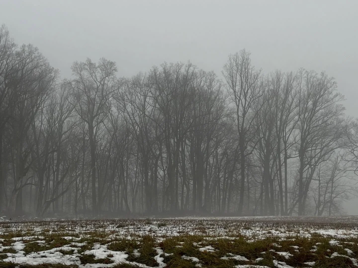 NJ Winters | Dec 28 2024