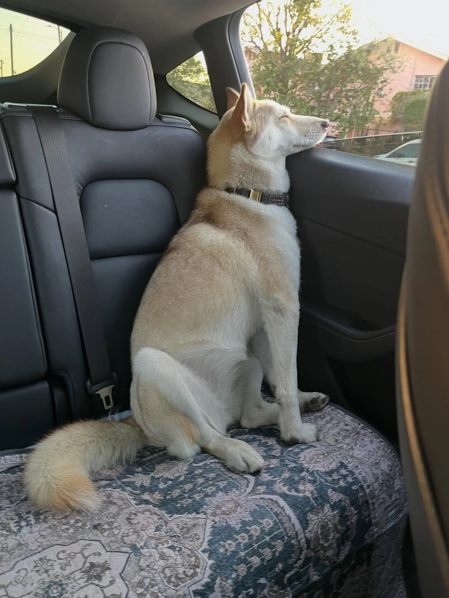 back home
Dec 29 2024