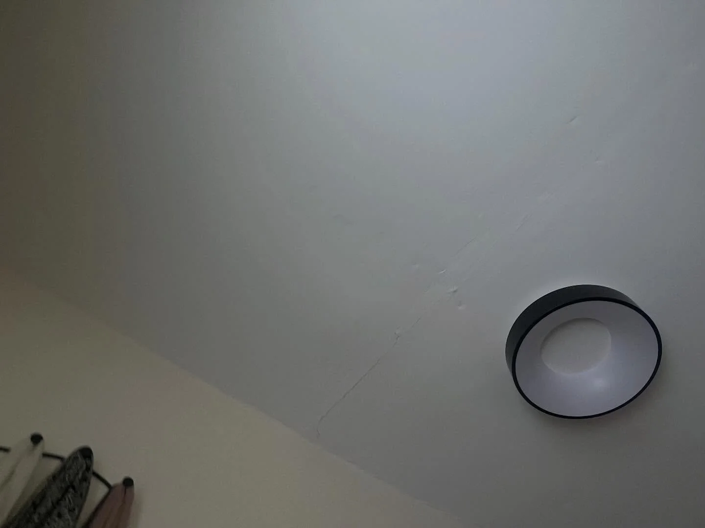 little glimpses of it | feb 9 2025