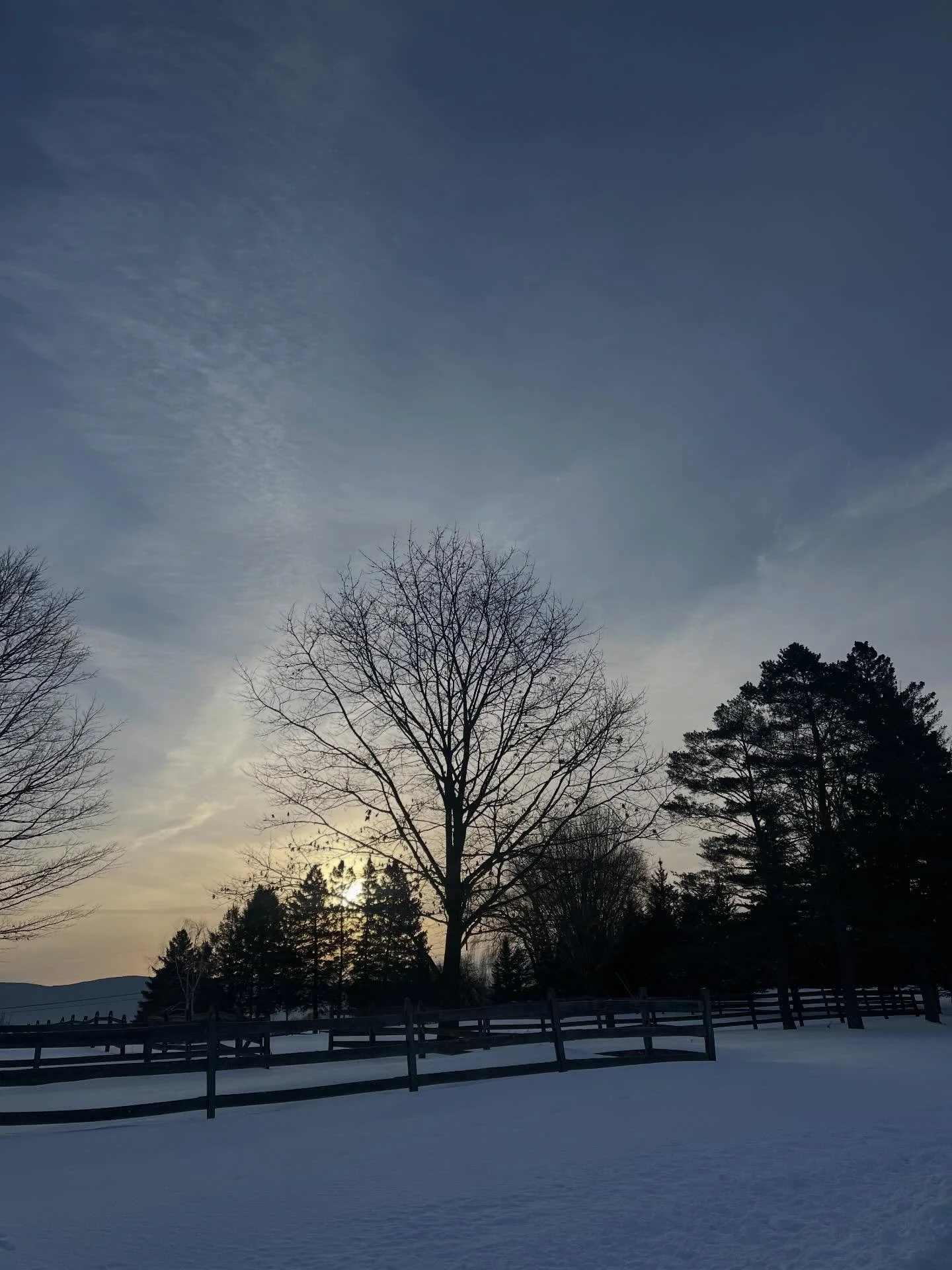 vt winters | feb 11 2025