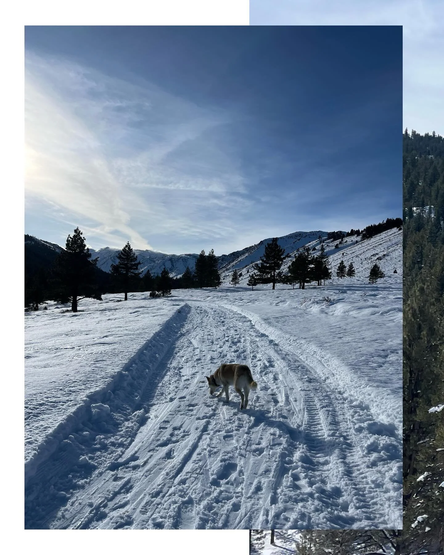 ski camp 2025 continued | feb 16 2025