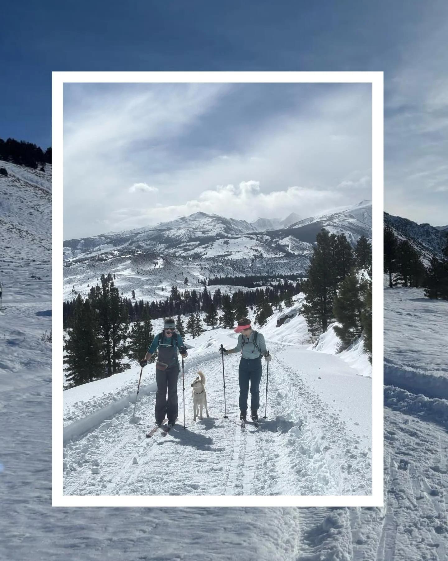 happy smiling skiing people | feb 17 2025