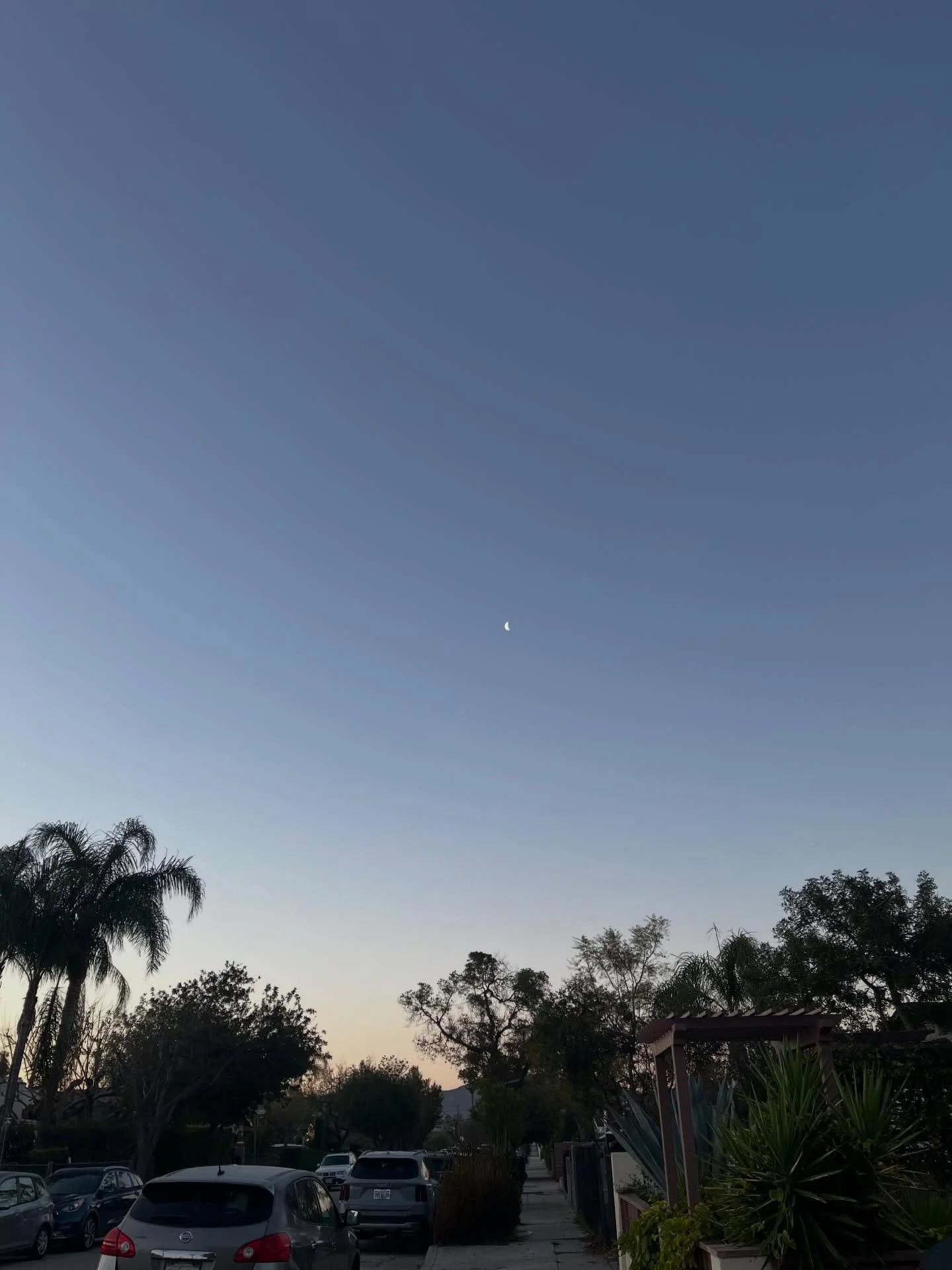 feb 21 2025