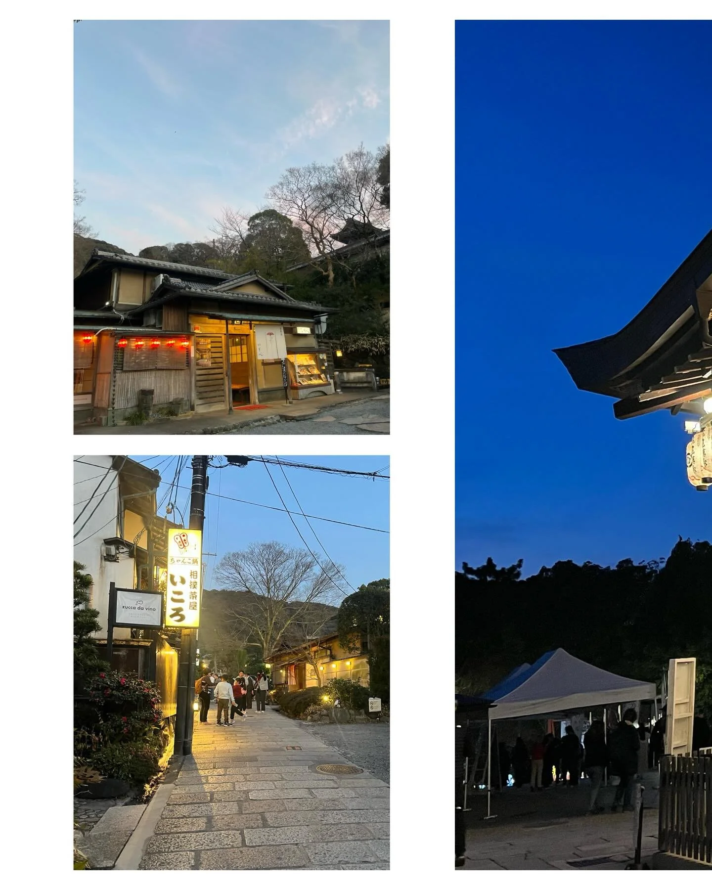 night wander | mar 2 2025