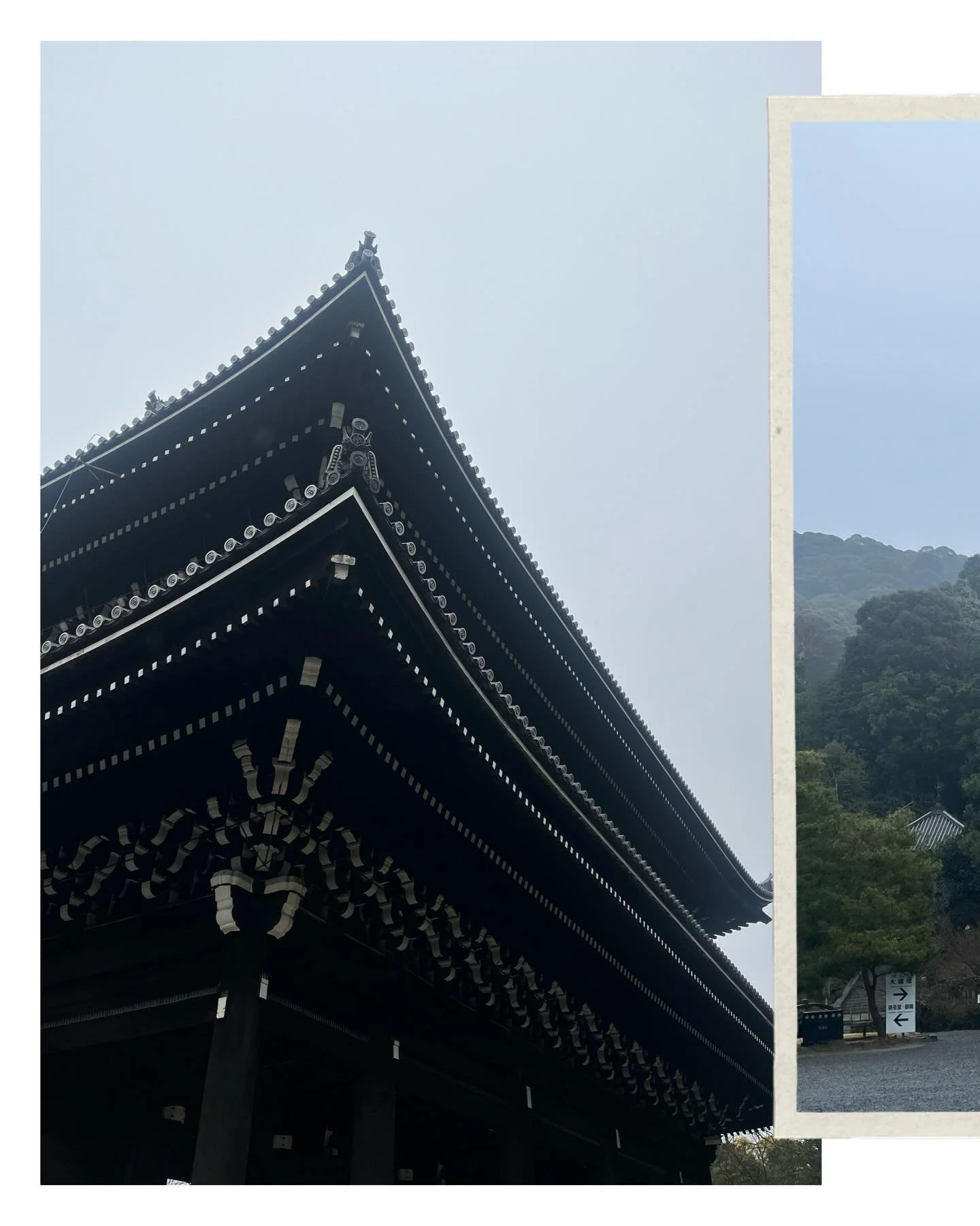 morning temple walk and evening sukiyaki w The Oishiis 💛💛💛 | mar 3 2025