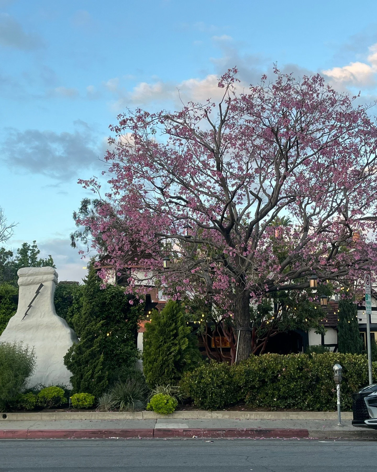 Spring in LA | apr 20 2025