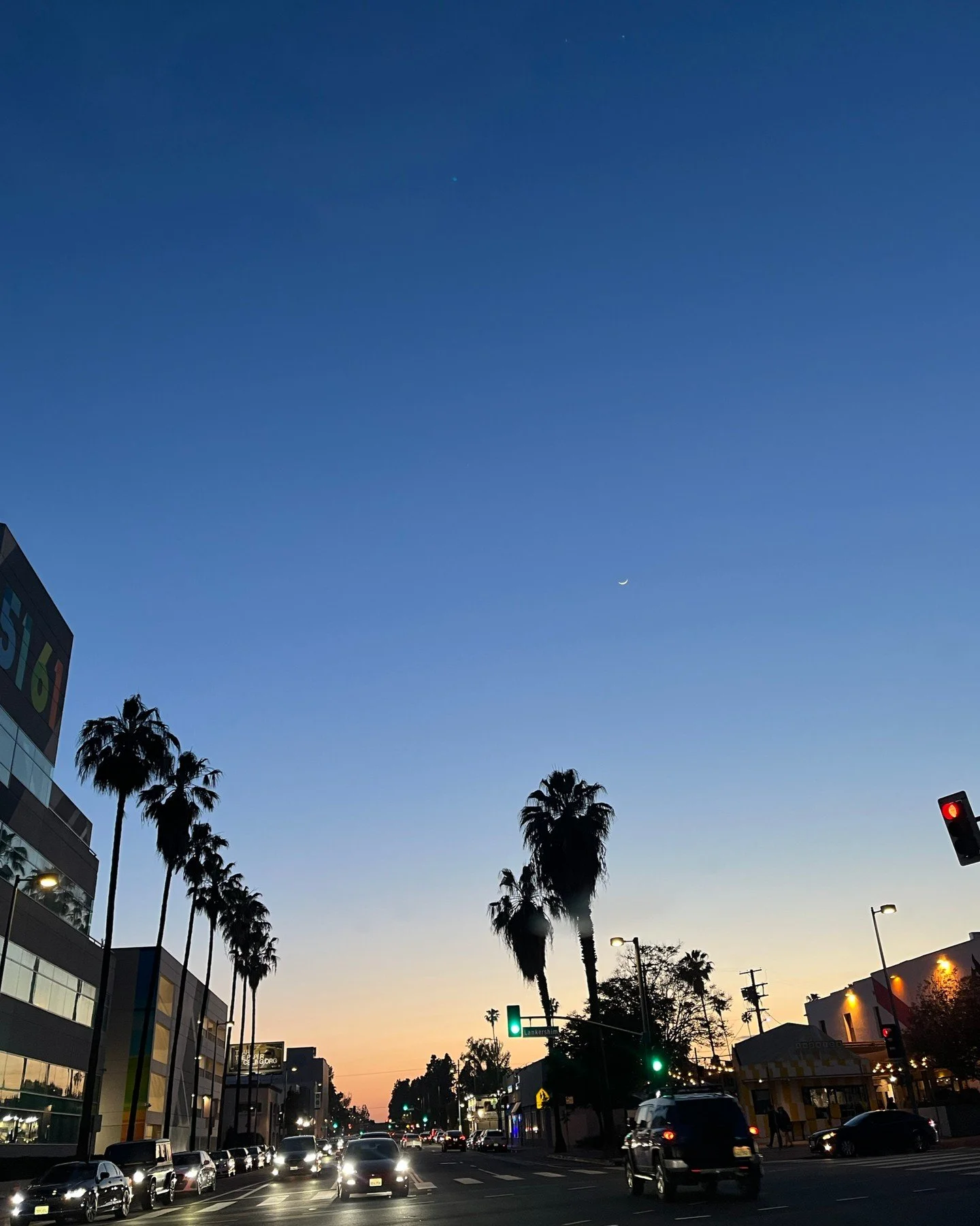 sometimes this city is just so very much itself | apr 24 2025
