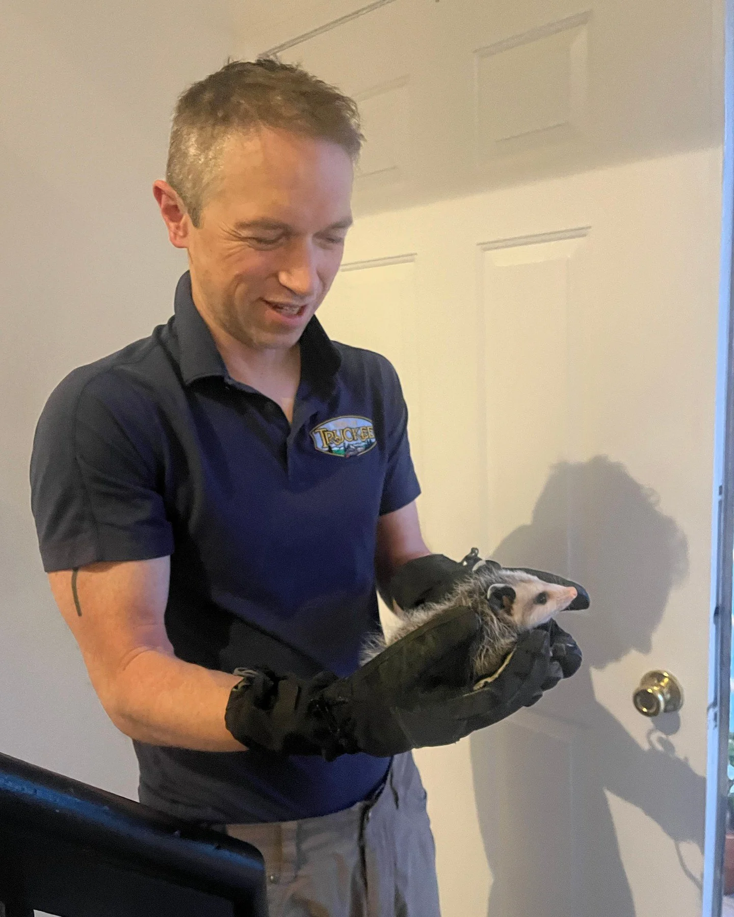 look what the cat brought in NO ACTUALLY | apr 27 2025