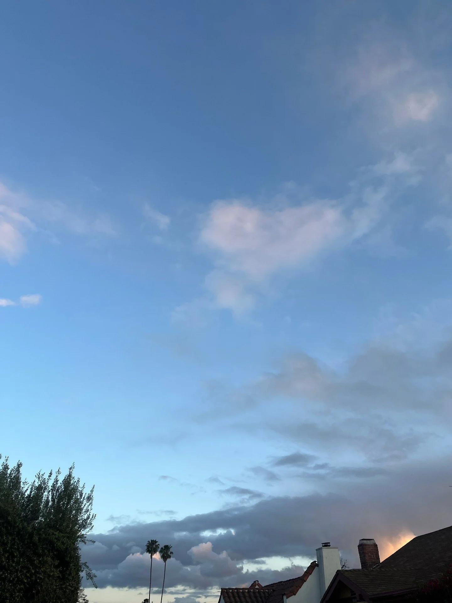 just your morning walk | apr 29 2025