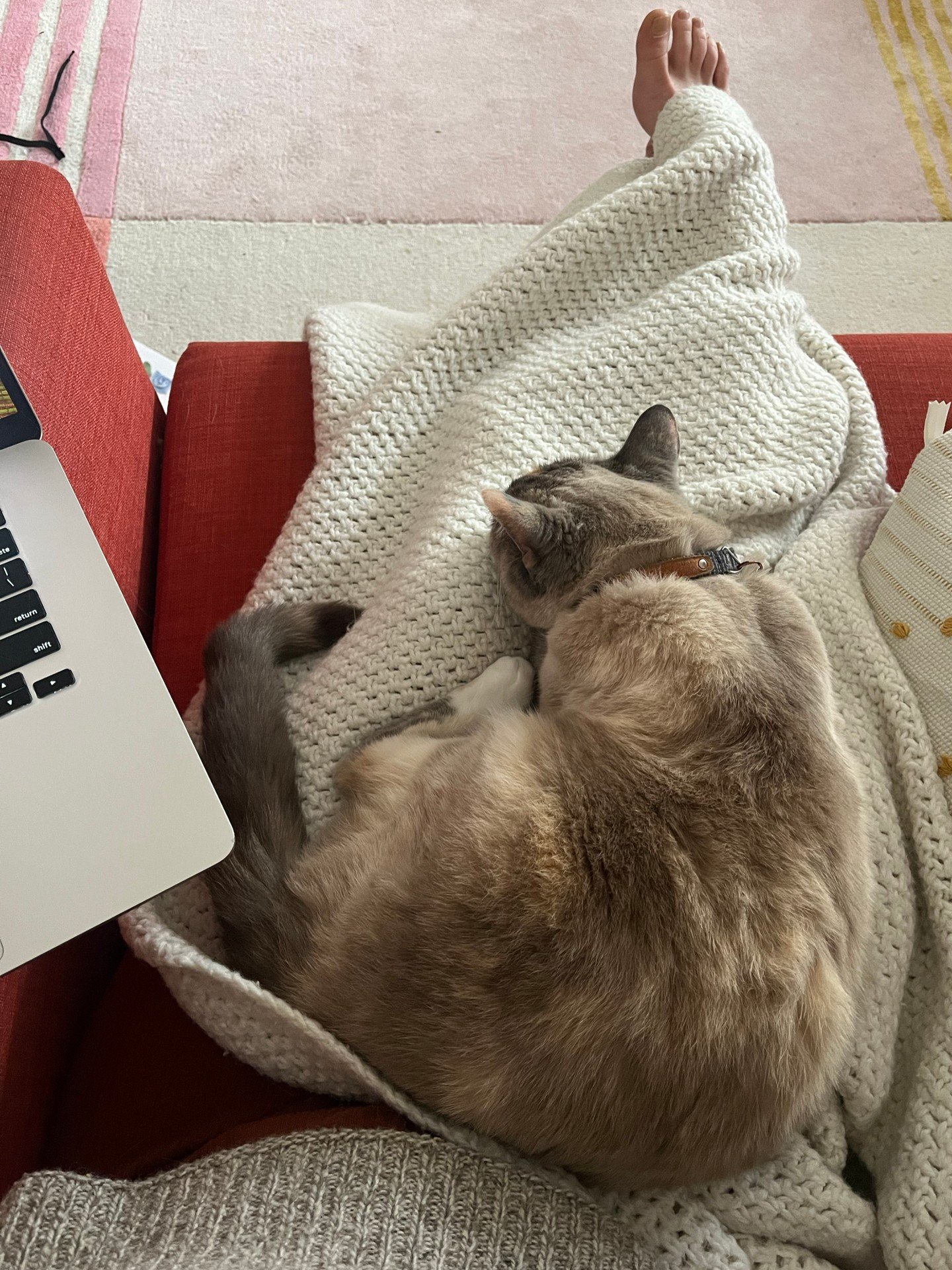 writing companion | apr 30 2025