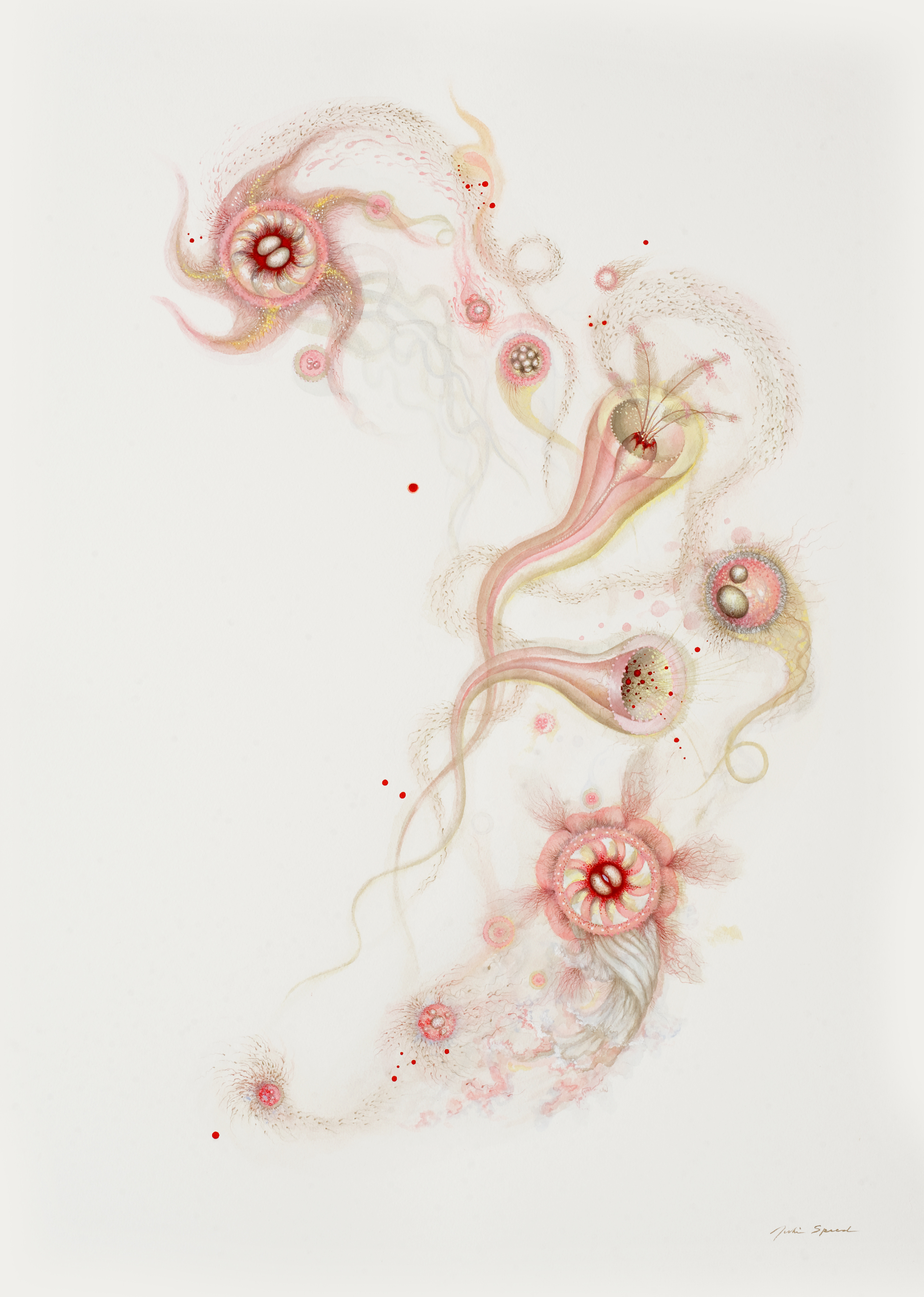 Snow White,  2009-10 gouache, 41 x 29.50 inches