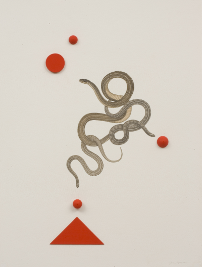 Trick Snakes 2007 collage, gouache, acrylic and wood on paper, 30 x 22 inches 