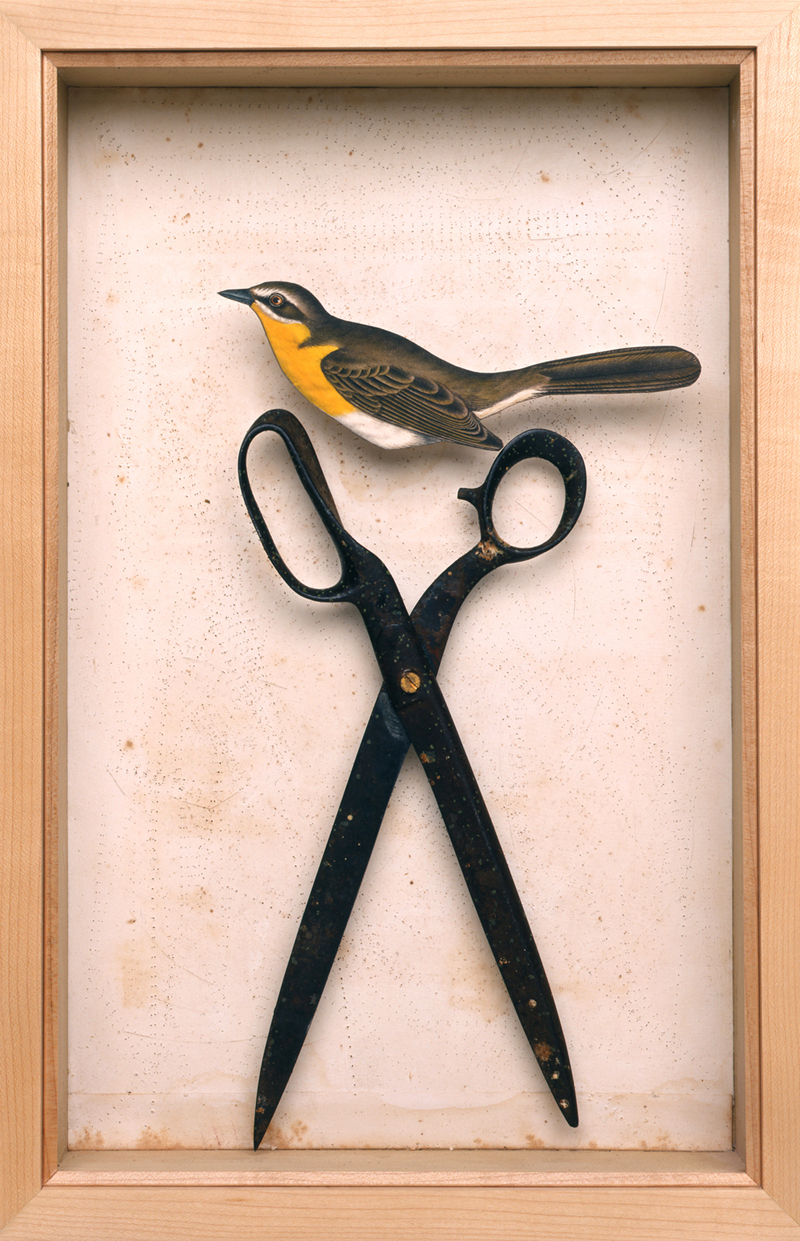 Scissors Bird   