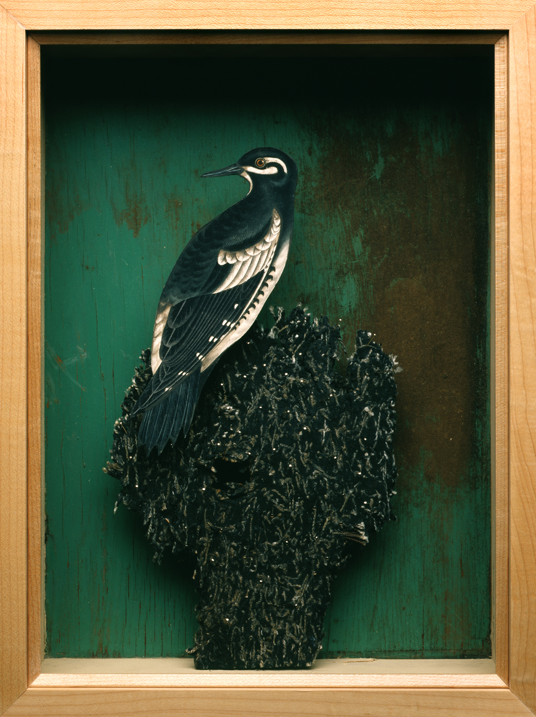 Unnatural Habitat 2007 mixed media box