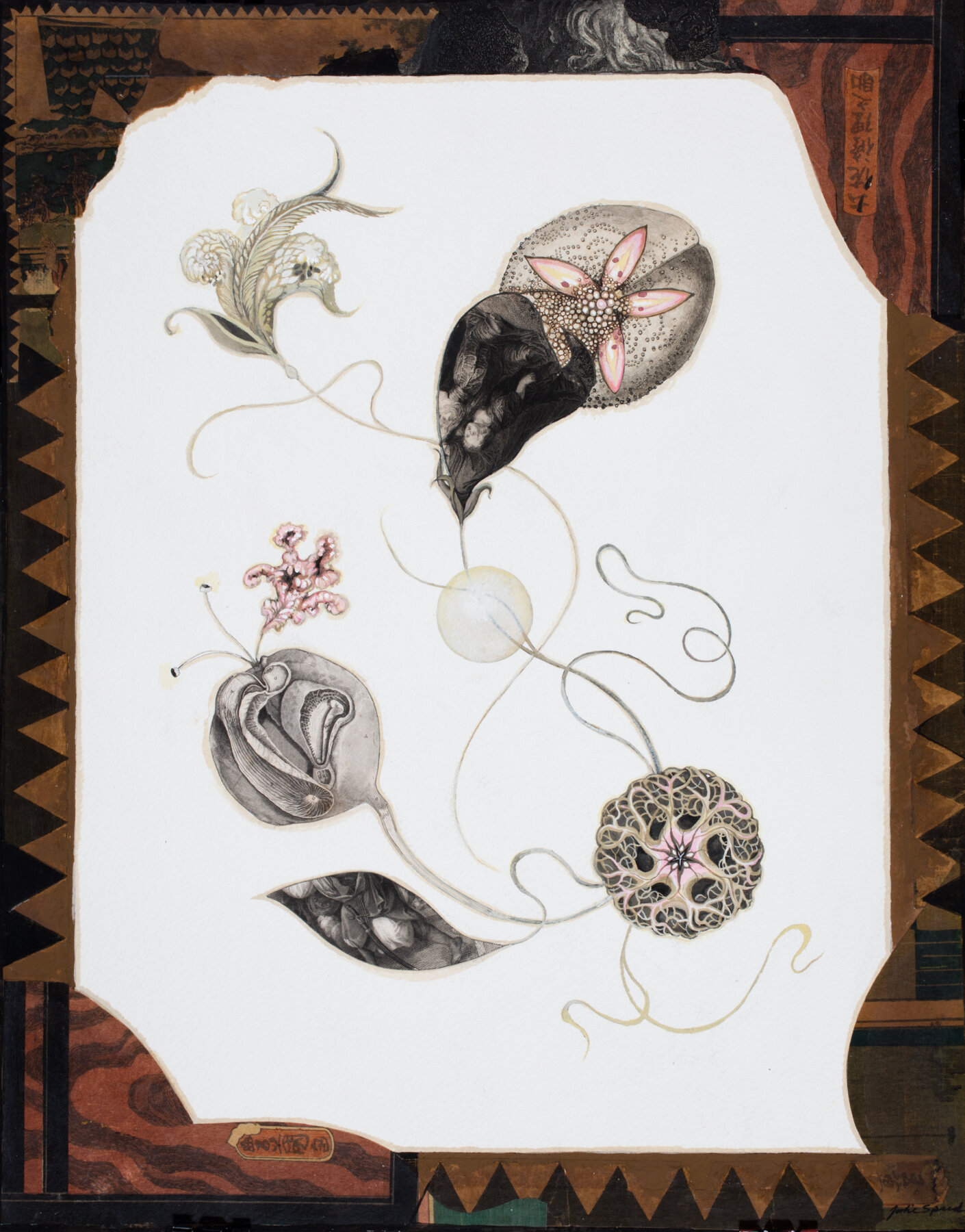 Sand Dollar LR 2021 gouache & collage, 20 X 16 inches  (1 of 1).jpg