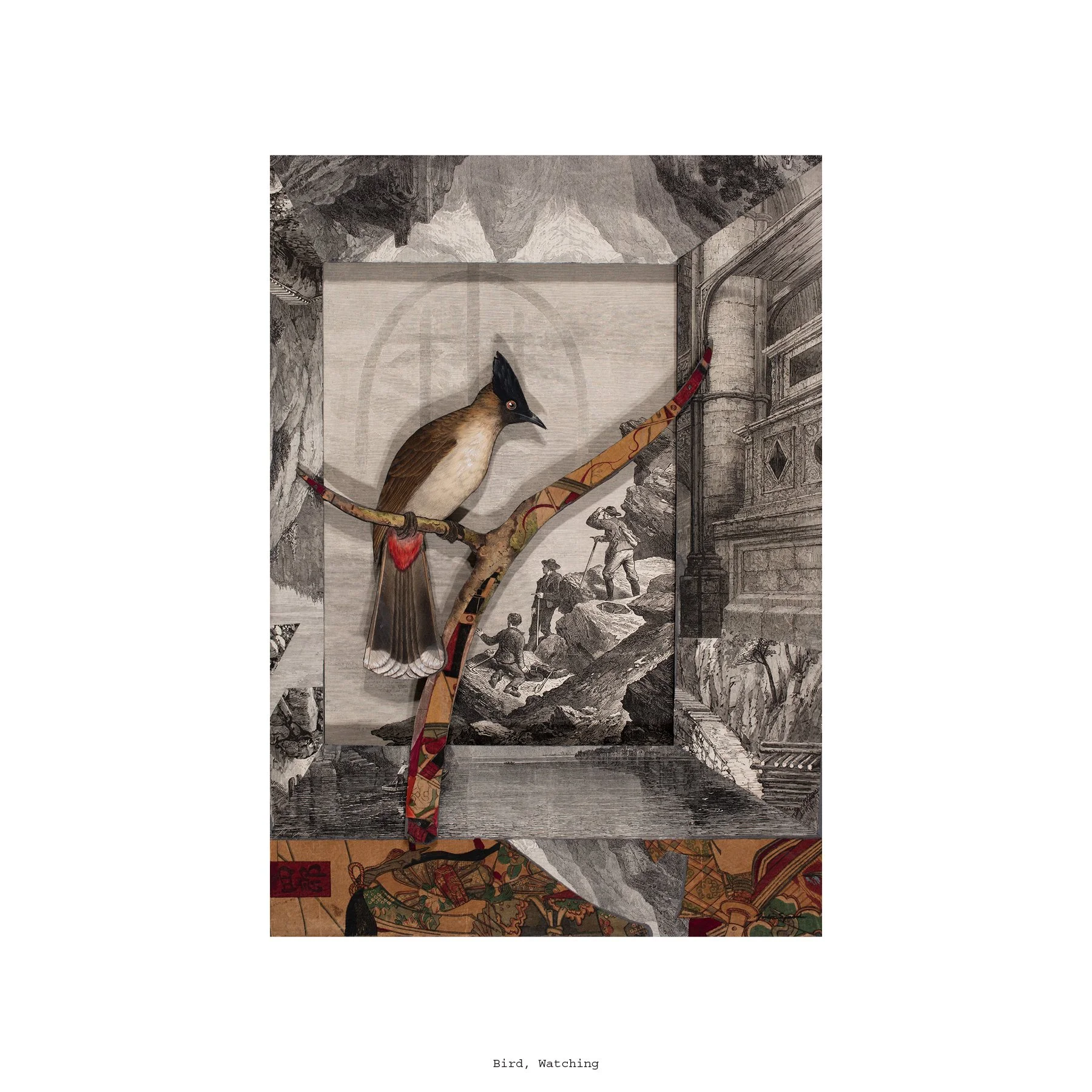 Bird, Watching, Open Studio Catalog 1:2  8.jpg