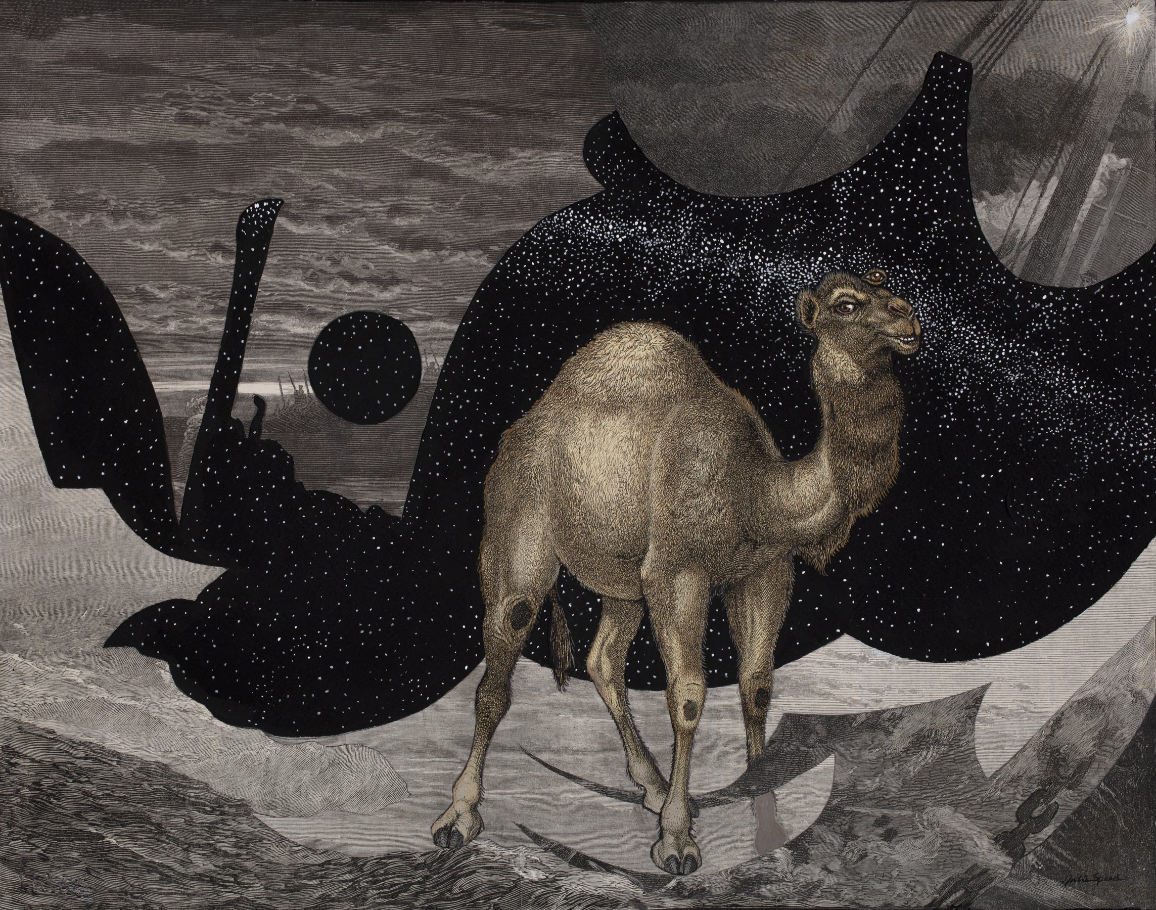 Eye of the Camel   2026 collage & gouache, 14 X 11 inches .jpg