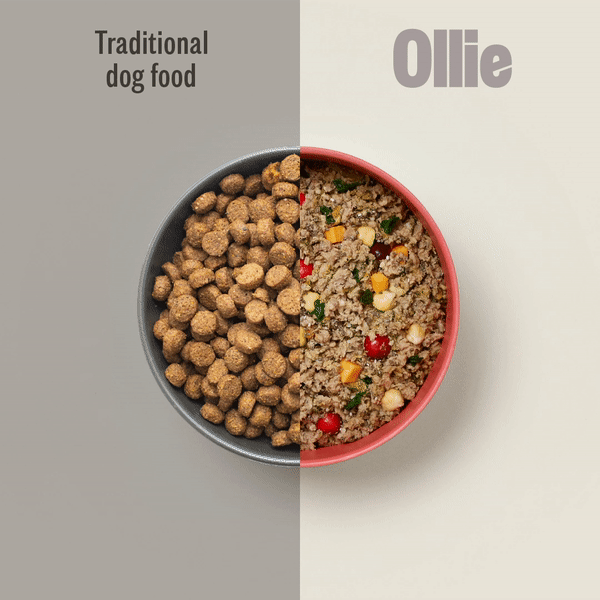 ezgif.com-gif-maker copy.gif