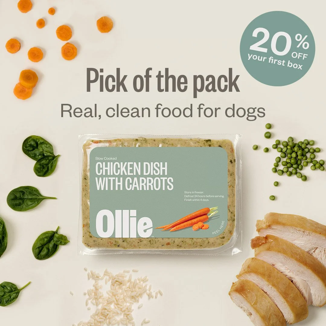 Ollie-PaidSocial-Reskin-Pack-chicken-20.jpg